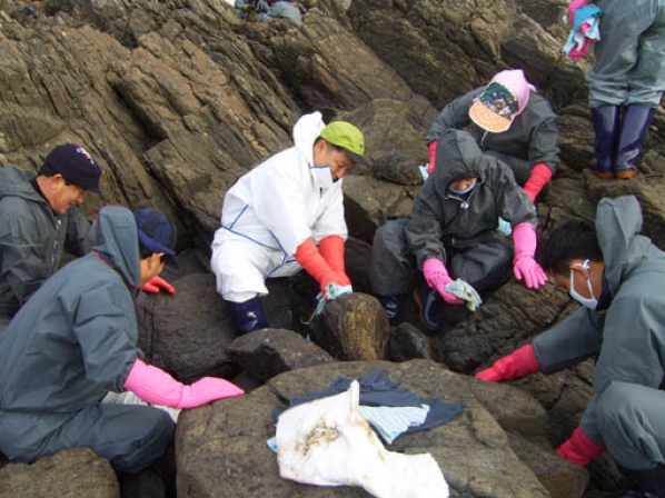 태안 기름유출 현장서 지역주민과 구슬땀 봉사