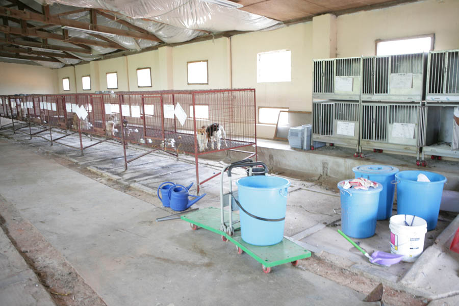 유기동물보호센터 현장활동