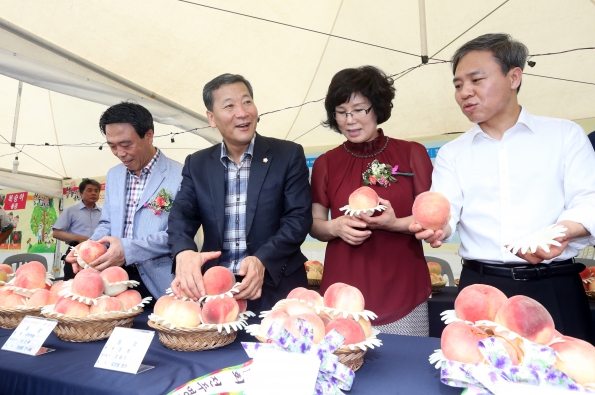 전주명품 복숭아 큰잔치