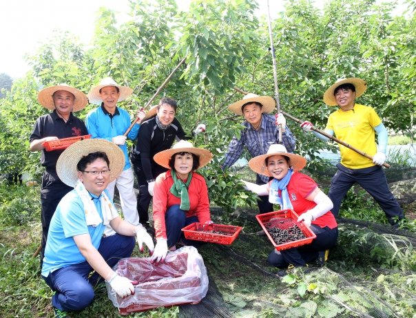 오디농가 일손돕기