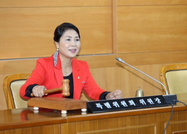 2015 행정사무감사