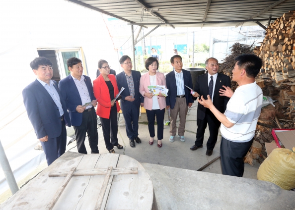 문화경제위원회 현장활동