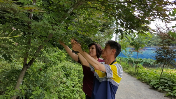 건지산 해충 방제 시급하다