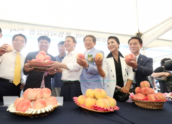 전주 명품복숭아축제