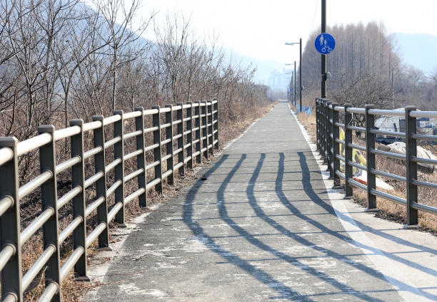 자전거도로 버스승강장 현장활동