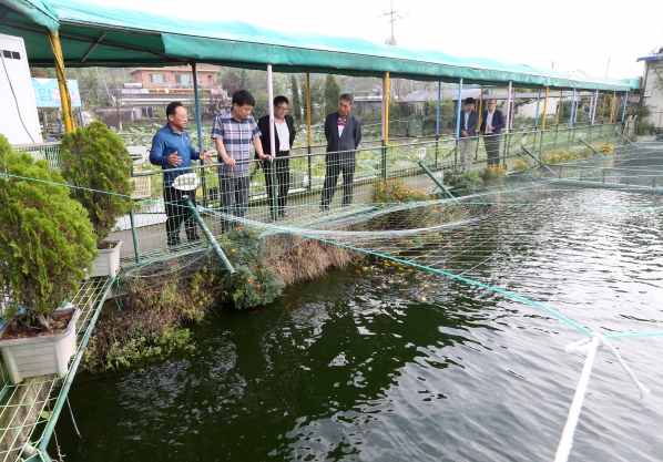 이서 물고기마을 방문