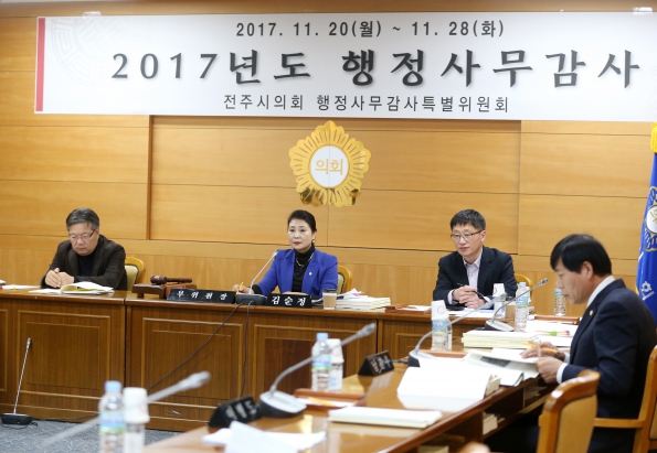 2017 행정사무감사