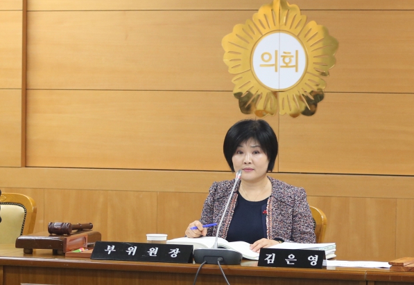 2017 예산결산특별외원회