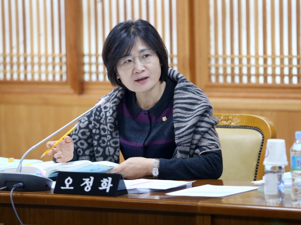 2017 예산결산특별외원회