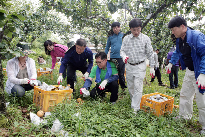 과수농가 일손돕기