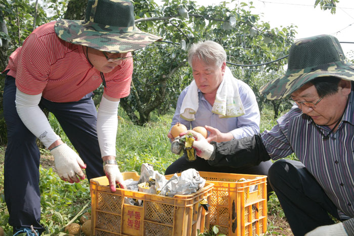 태풍피해농가 일손돕기
