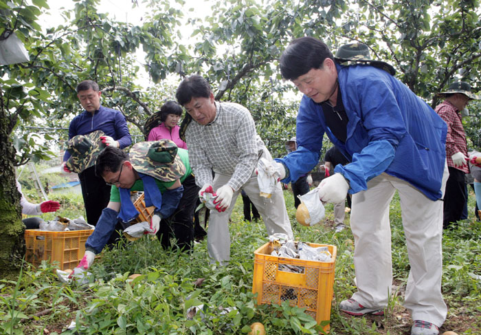 태풍피해 농가 일손돕기