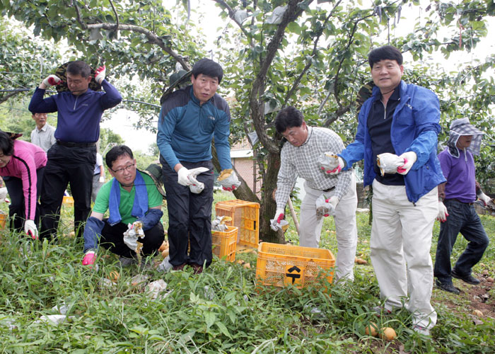 태풍피해 농가 일손돕기
