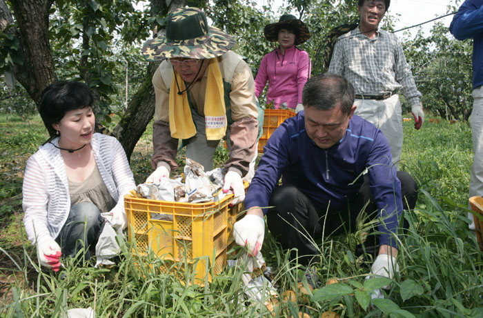 태풍피해 농가 일손돕기