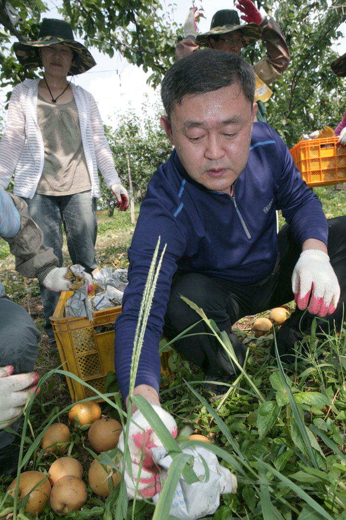낙과 피해농가 일손돕기