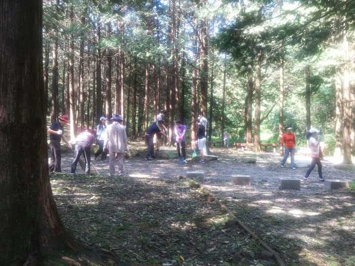 태풍에 대처하는 산림정책 세워라