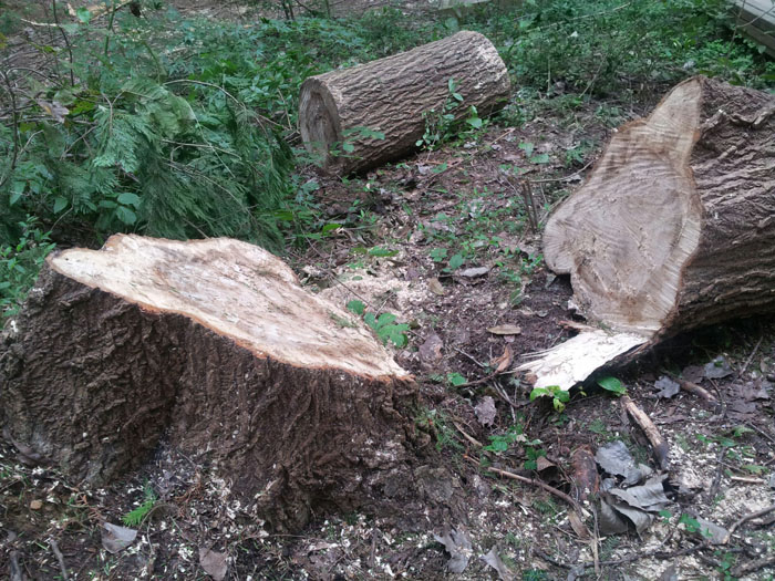 제295회 임시회 5분자유발언