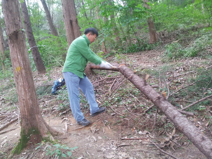 태풍대비 수목관리 잘해야
