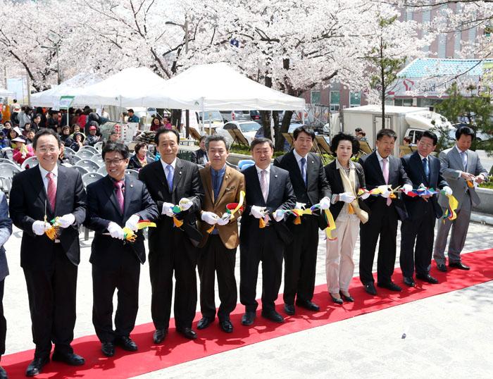 덕진구청 벚꽃축제