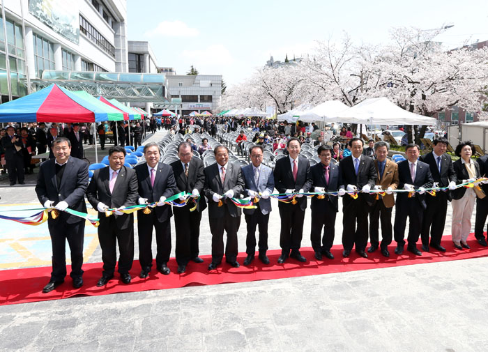 덕진구청 벚꽃축제