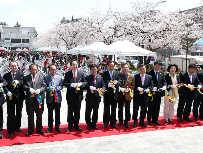 덕진구청 벚꽃축제