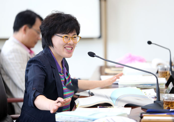 2013년도 제1회 추가경정예산안 예비심사